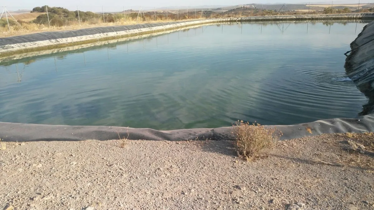 9581bde4-e5c0-44b5-864f-a7ea9ed905df