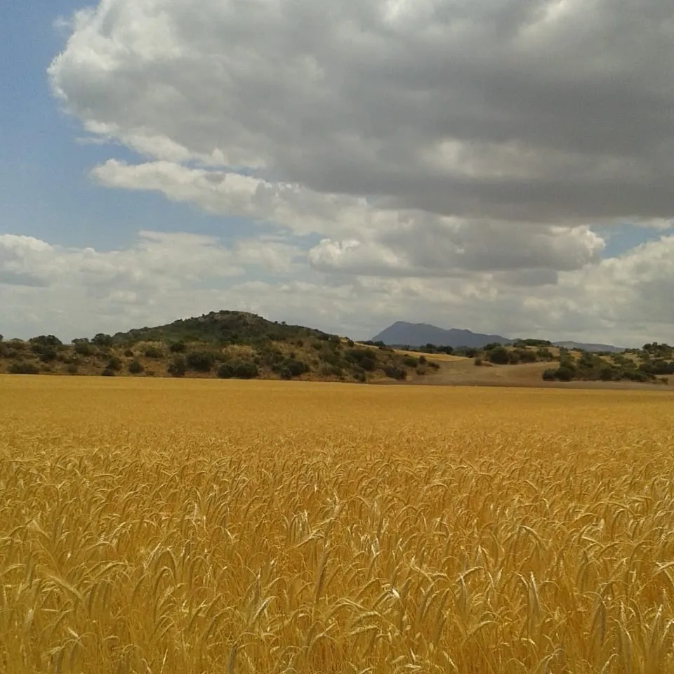 acefd869-3386-4b12-91bd-be04aca49a1b