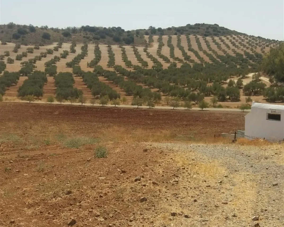 ad67e732-e2be-4fde-b621-815fa3a82d2d