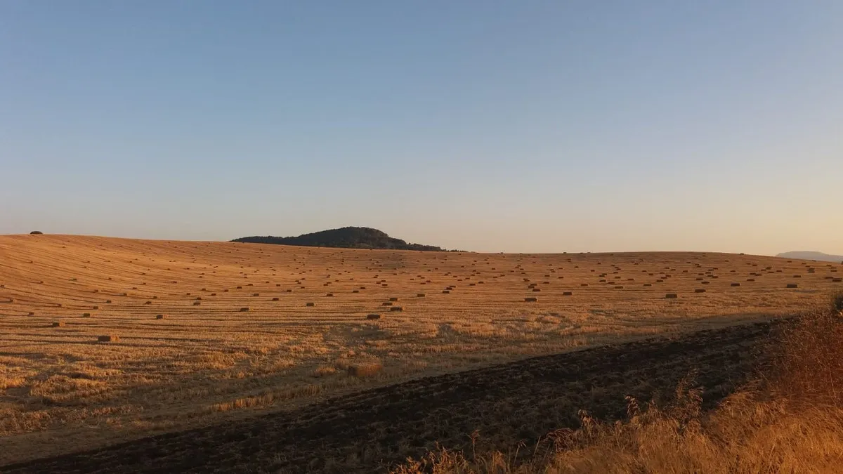 e8327e8e-f1e1-4204-bb93-5fa53e9be399