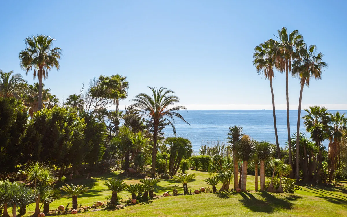 50392714-f161-421d-9229-cc4a51adf3a7