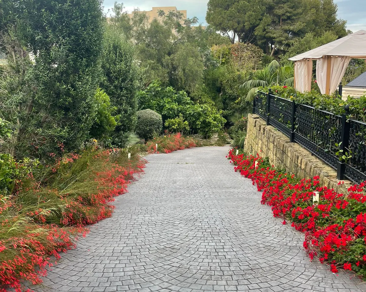 8cdfa3ca-ef41-4c2c-bfa3-286237b32c74