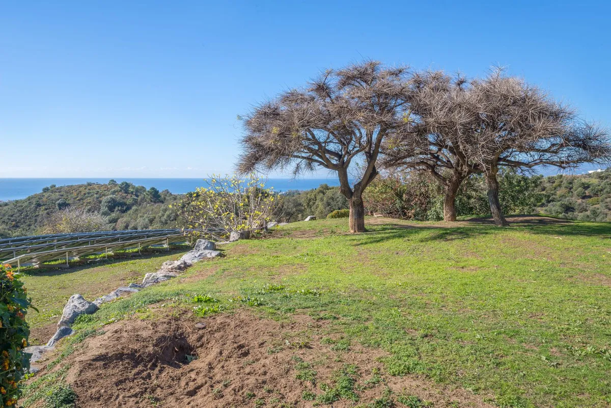 d2180e70-23d4-479c-8702-07c86934ea0c