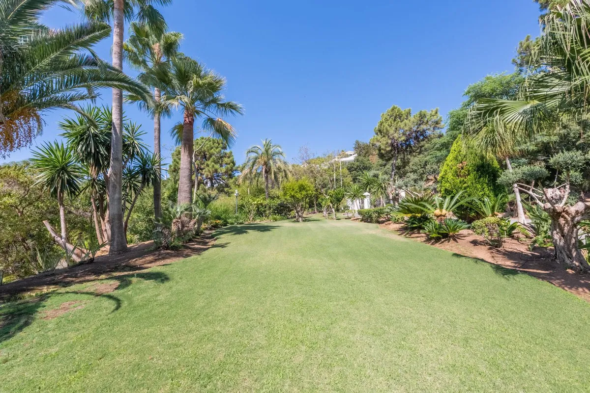 e0cf617d-c06c-4d1c-8c07-35e55dc55893