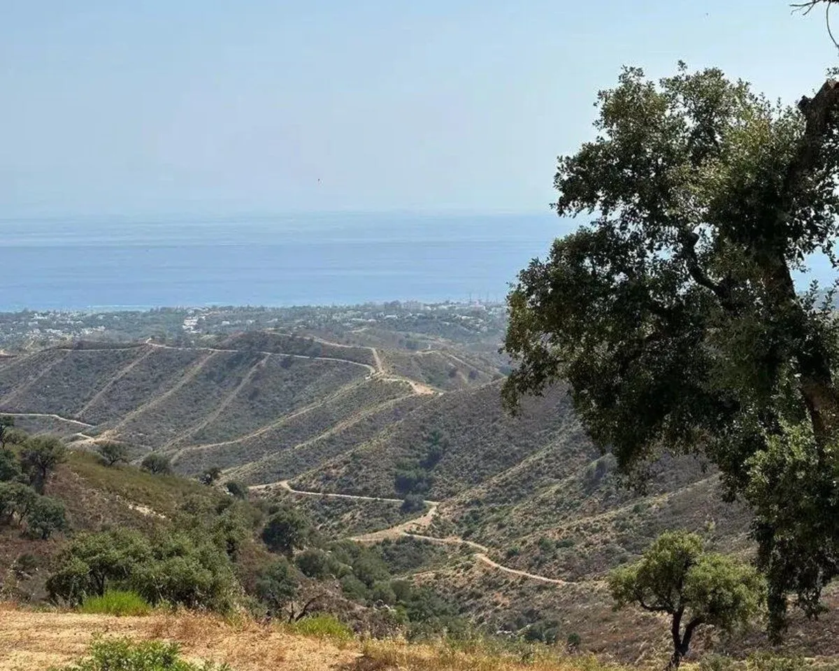 2a84c53c-a4e1-4c2c-9fca-31bdf70a2d66