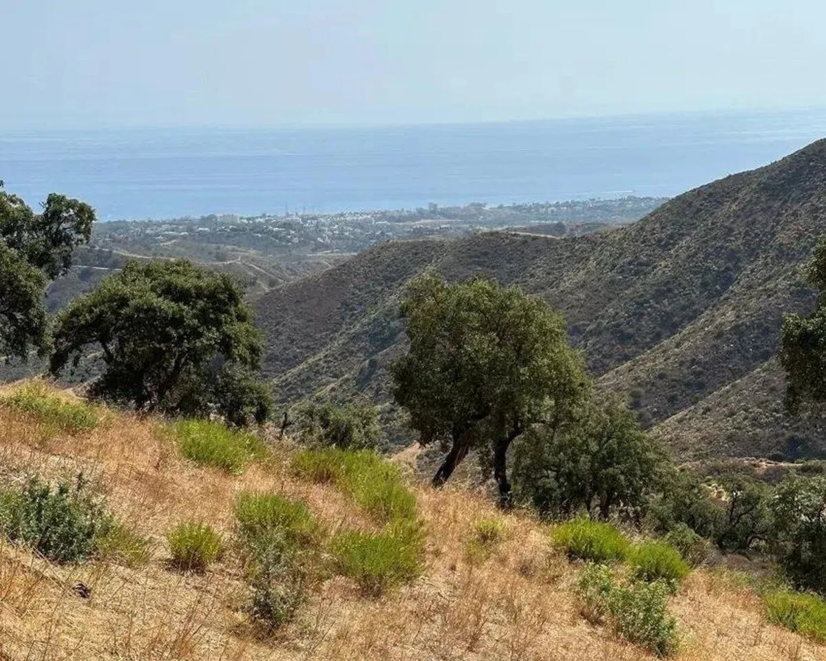 db395a5d-35e6-494e-ae43-251eee8df6cb