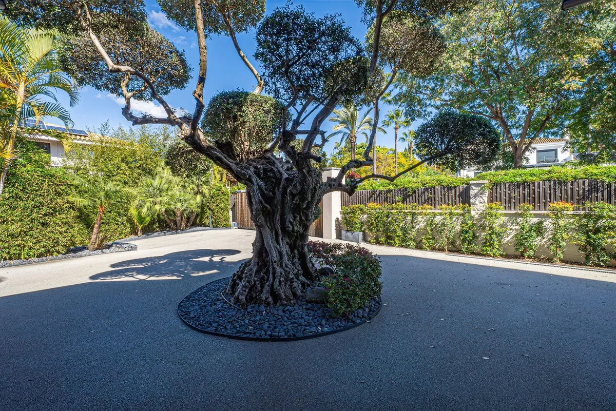 82621dd5-ce27-423e-b31b-3a6b90493392