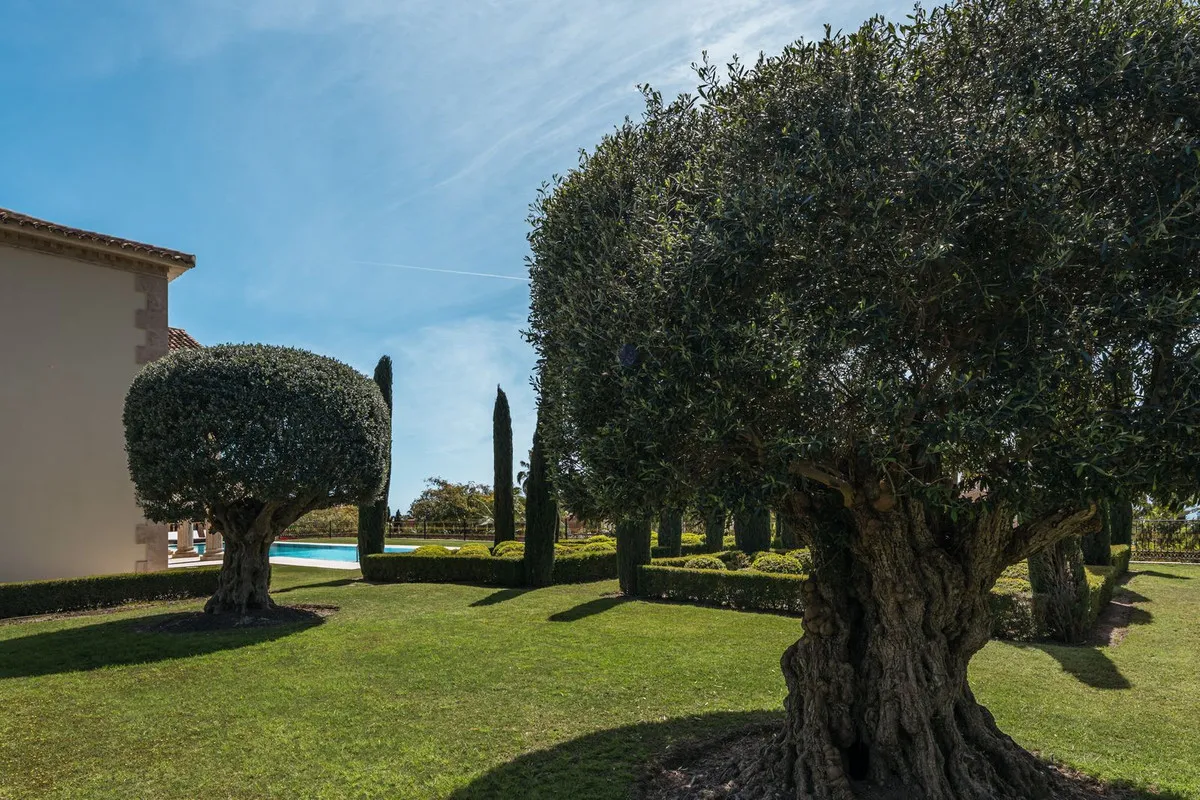 a4bce7aa-c9d2-4598-8a15-c669697eb9e1