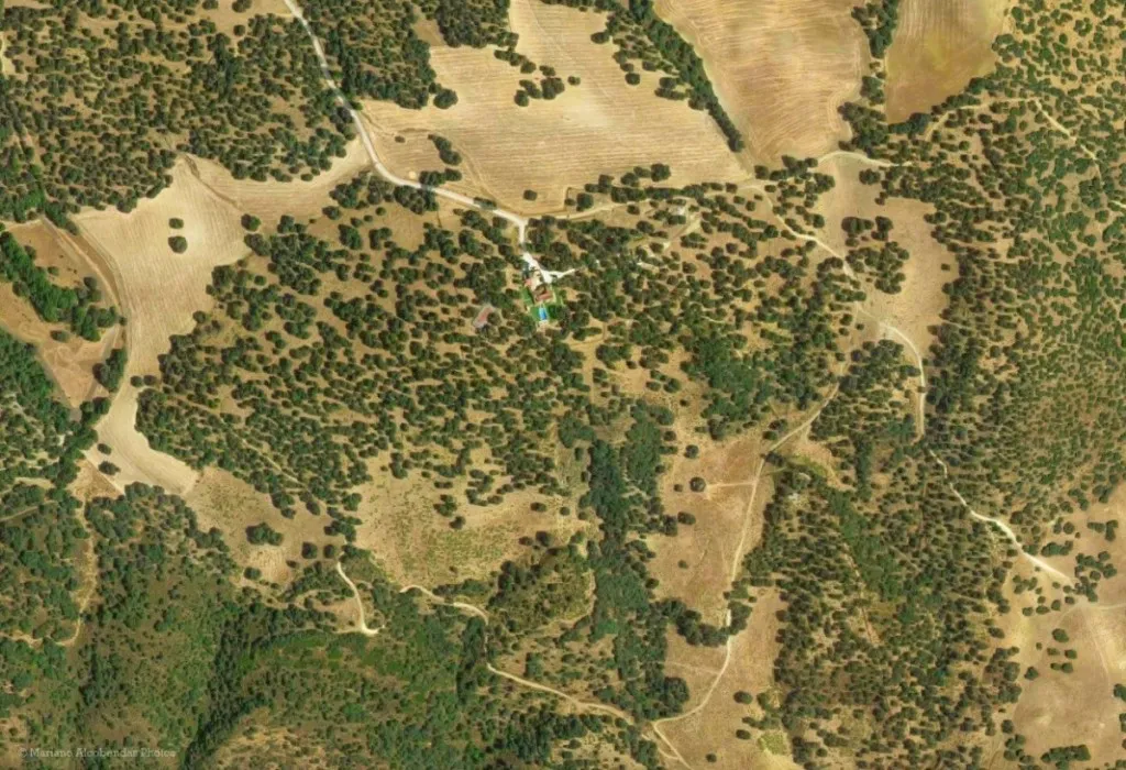 0e58850b-80e0-4d54-a527-dfa76daa3bcb