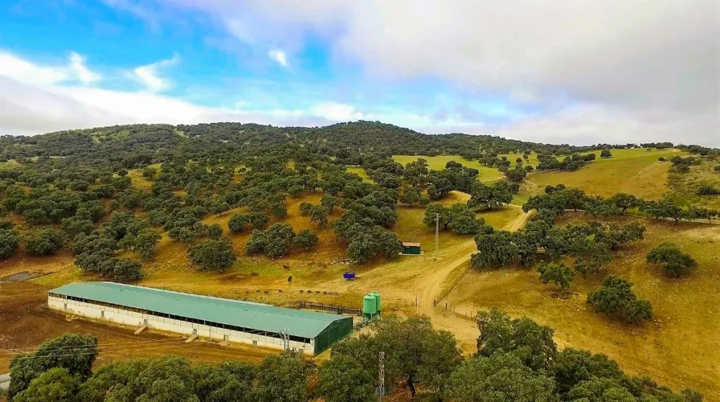 88f0482c-f318-4403-a188-004b901a75e5