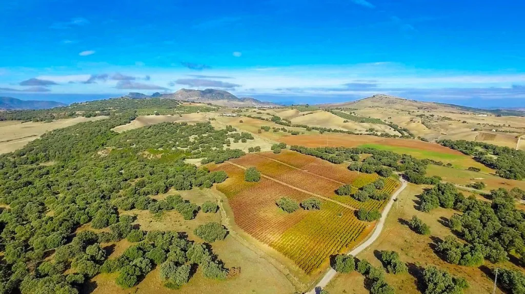 caf51609-d131-48ee-b40a-532d0ba2b5d4