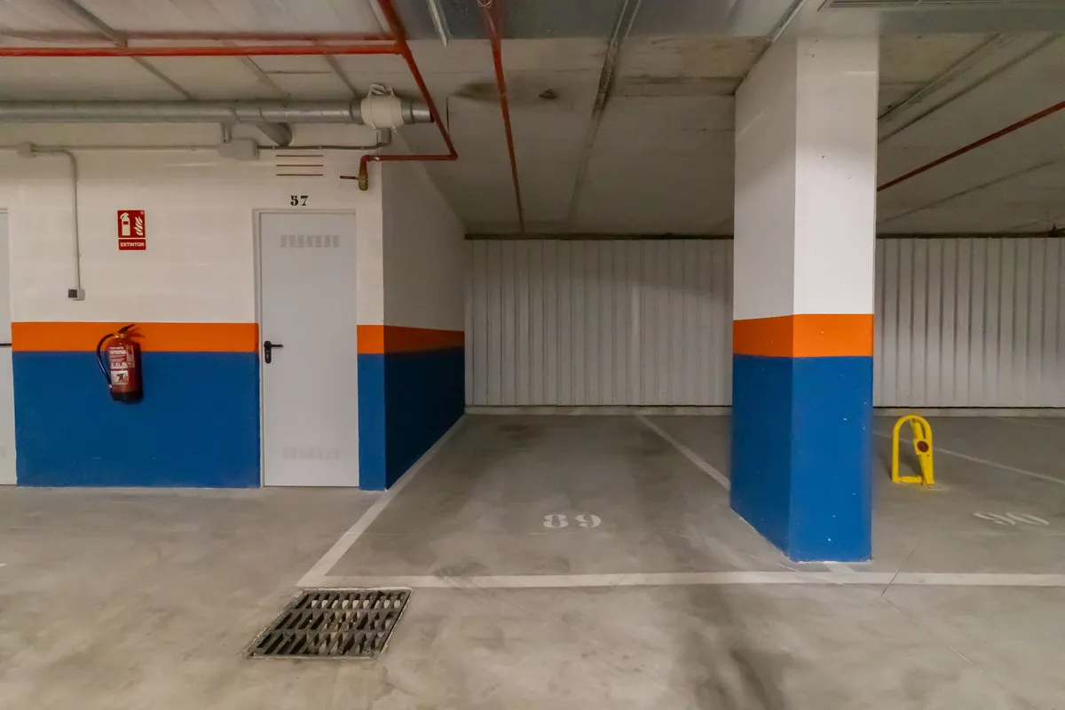 11966c8e-448b-4b15-9225-aeb5ef5551ca