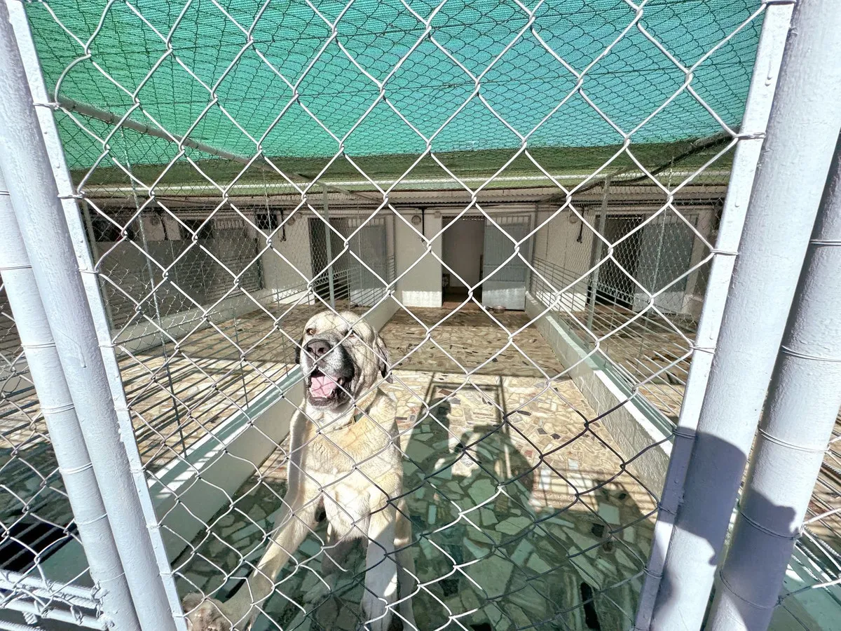 58fb66e0-5236-4a4d-8e14-f7fceadde004