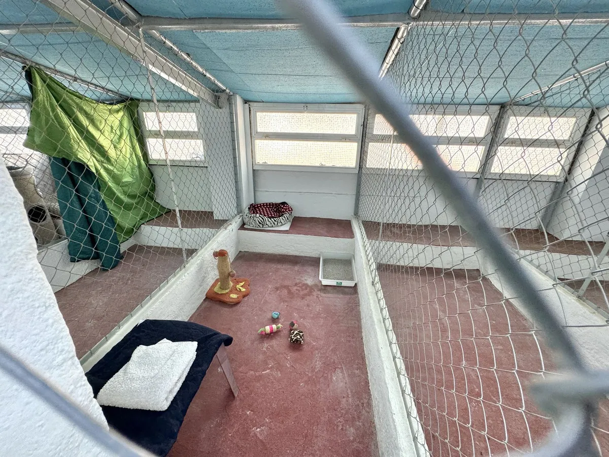 701b7924-0fde-4e56-a603-ff8c323da352