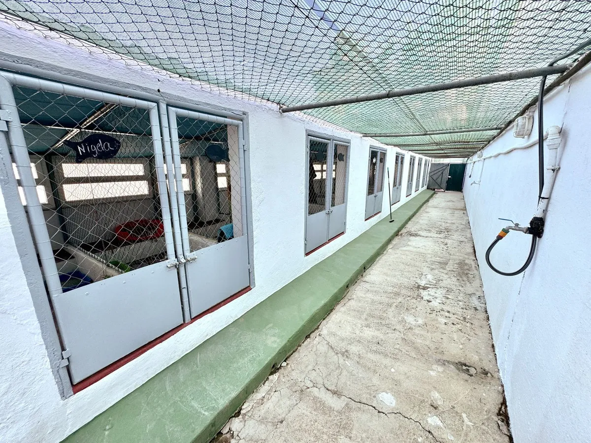 95bb0ac8-e8d2-4637-9886-8c6aeb9e42d8