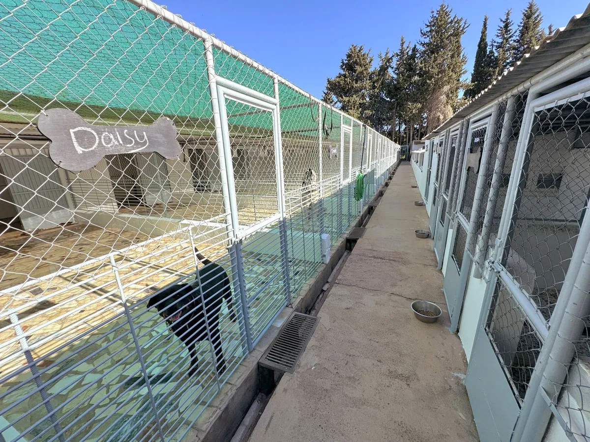 f9ef84f2-e810-4d4e-8050-515ad7a66051