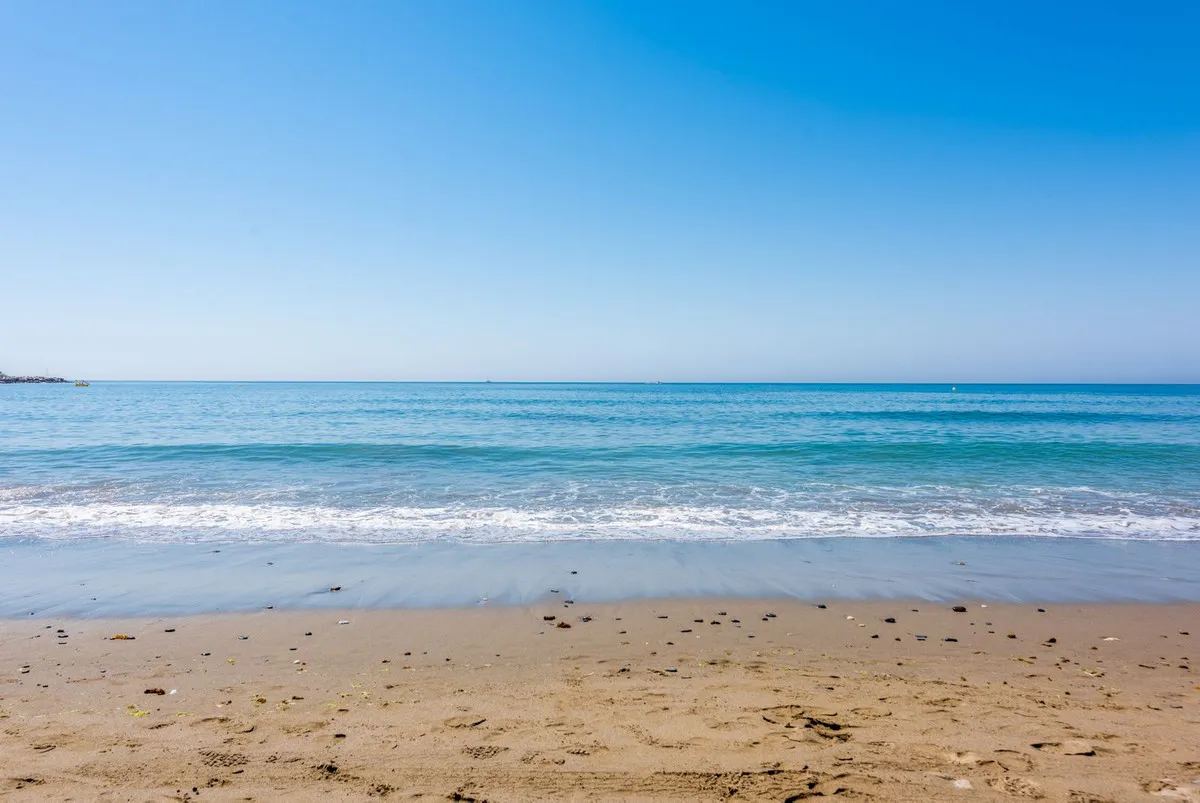 1aa87dc2-ea10-448c-b632-497f12965378