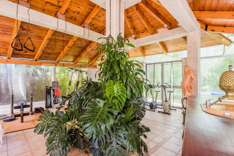 b6ccea9e-cdbb-4997-b0b2-3bb053fe419d