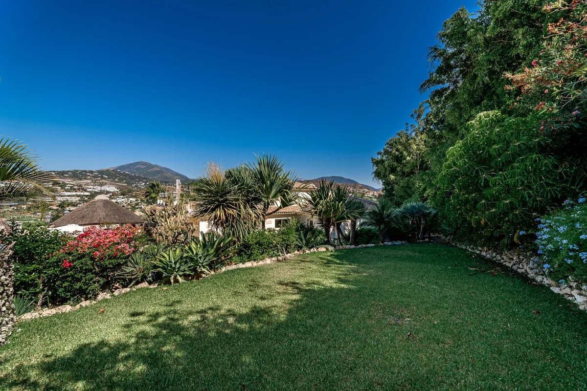 19e7fd65-8539-4a7a-a473-314dc52eac62