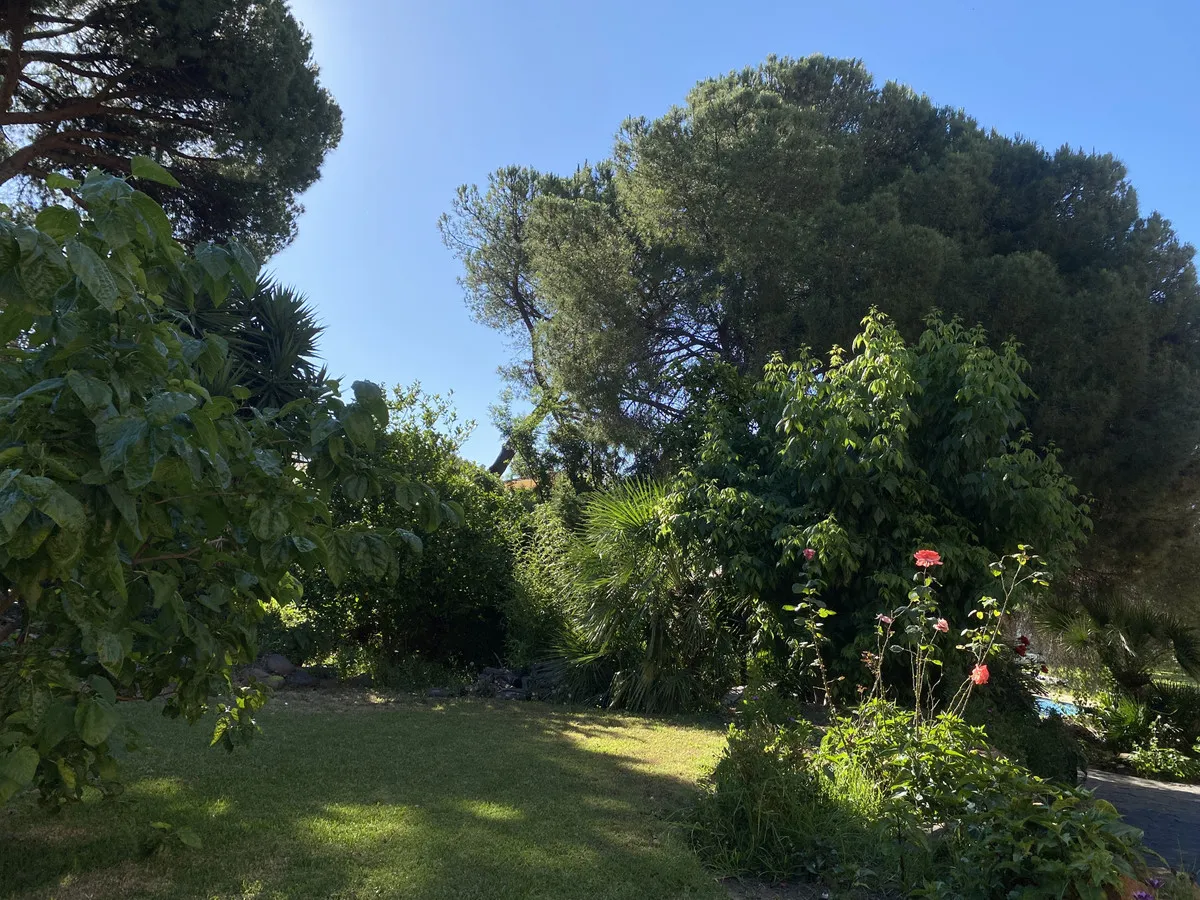 29143b46-b974-4248-9670-6123077d4b0f