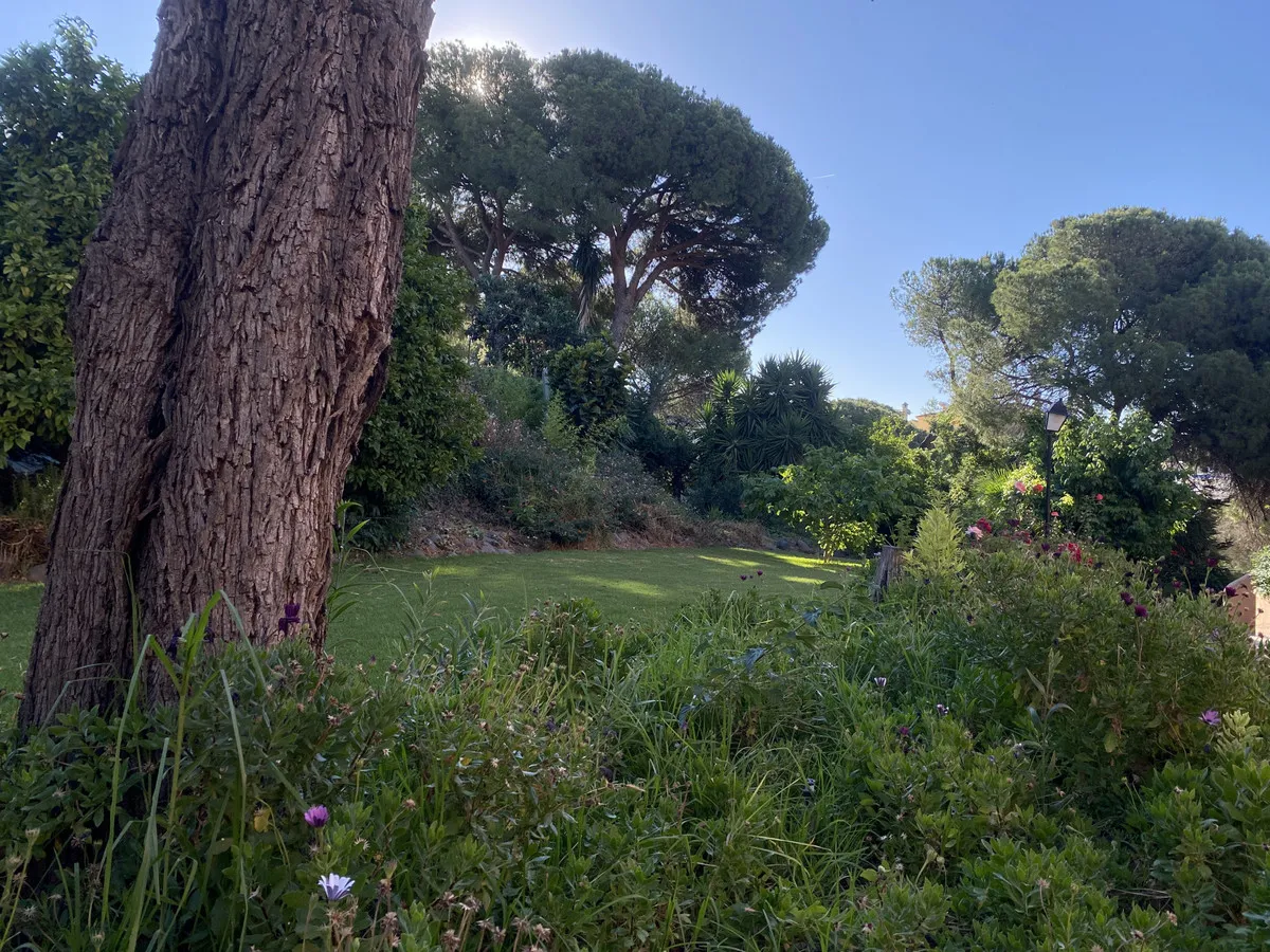 69312b55-8da1-4601-ab87-e0d7f1c579d1