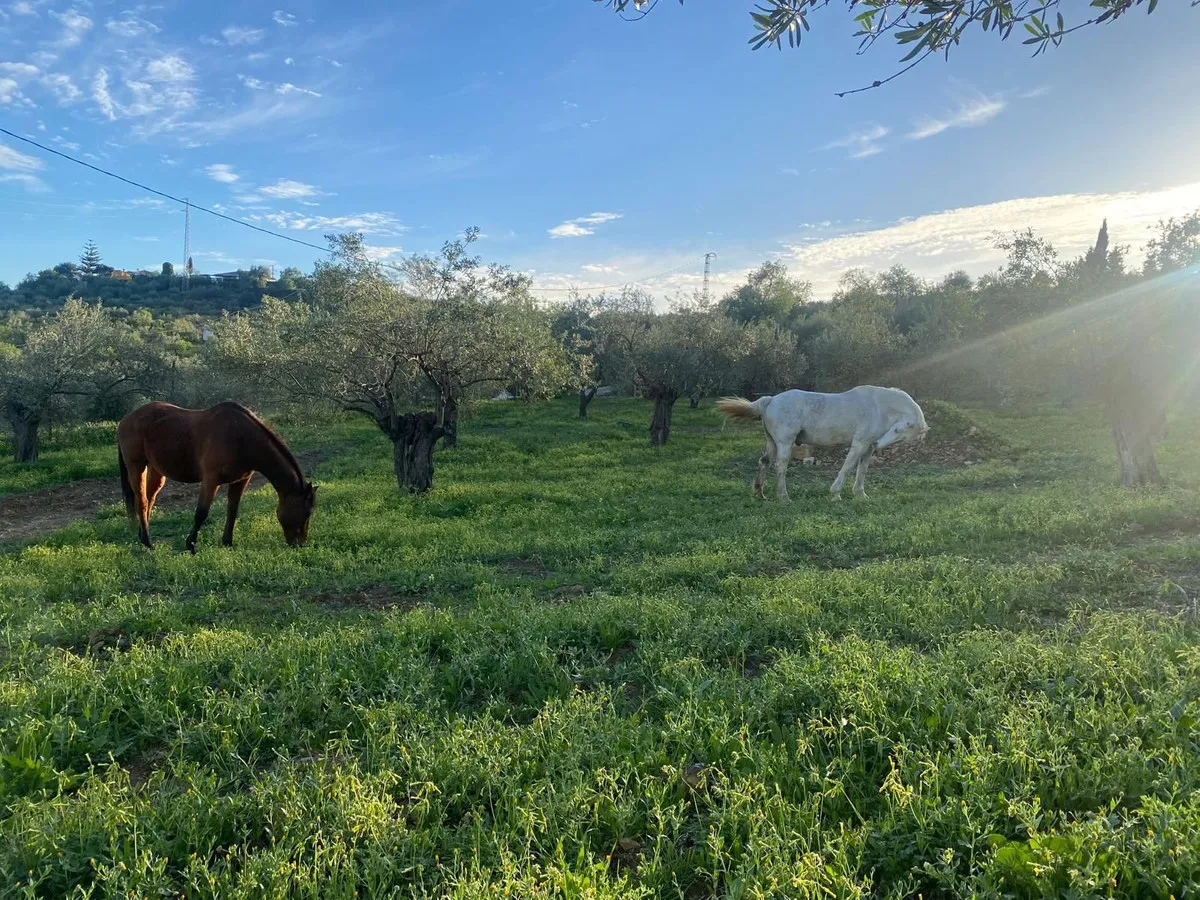 00c910a9-8d7e-4511-8b80-246c30f02bb6