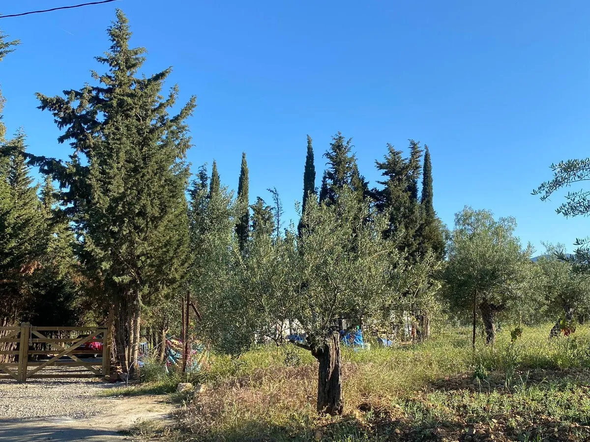 0ed22a69-1c41-4c74-b6bc-4ed8b2b6a9a9