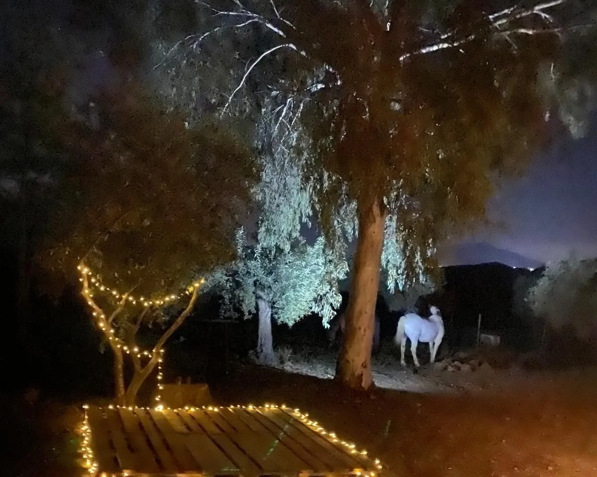 11269a9c-921b-4340-abc1-741fe565d9ac