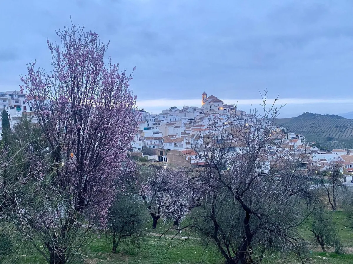 145c004d-928f-4998-b6b2-f269be76b2f3