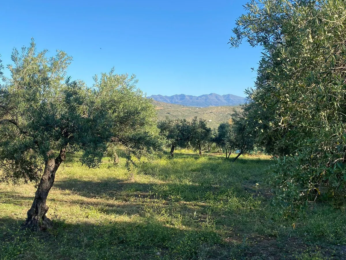 1de25d68-53b6-4642-aee7-63fbd5149a2f