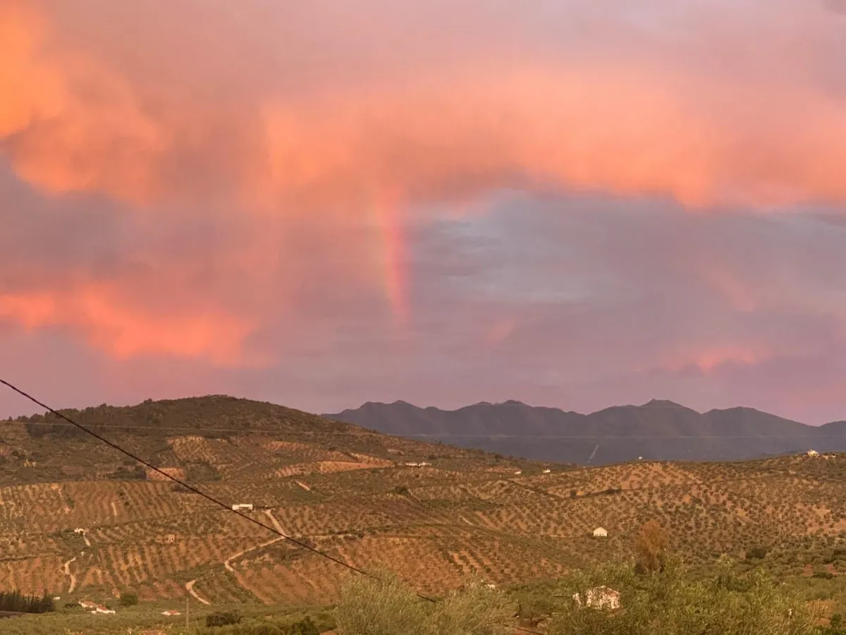 376bfbd5-b14d-4c4c-bd80-03d5104fdd86