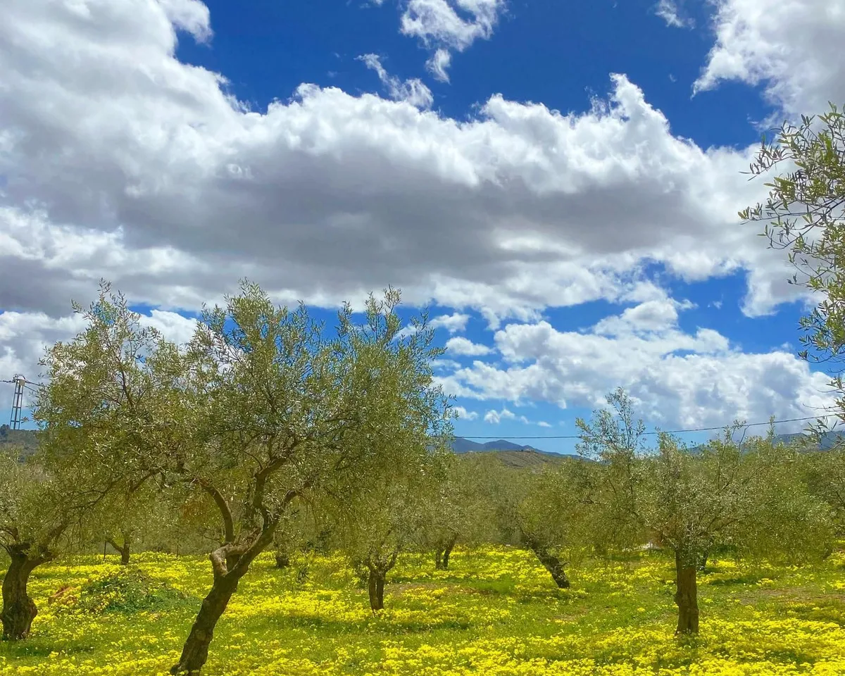 3a89ca6b-6ad9-497a-8e0a-c3a98544447a