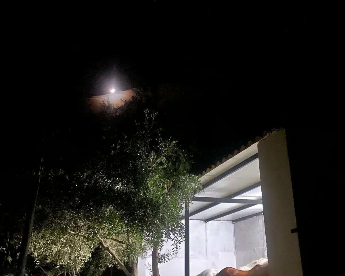 3ee7d276-6061-47ec-b83c-d743051e0b0e