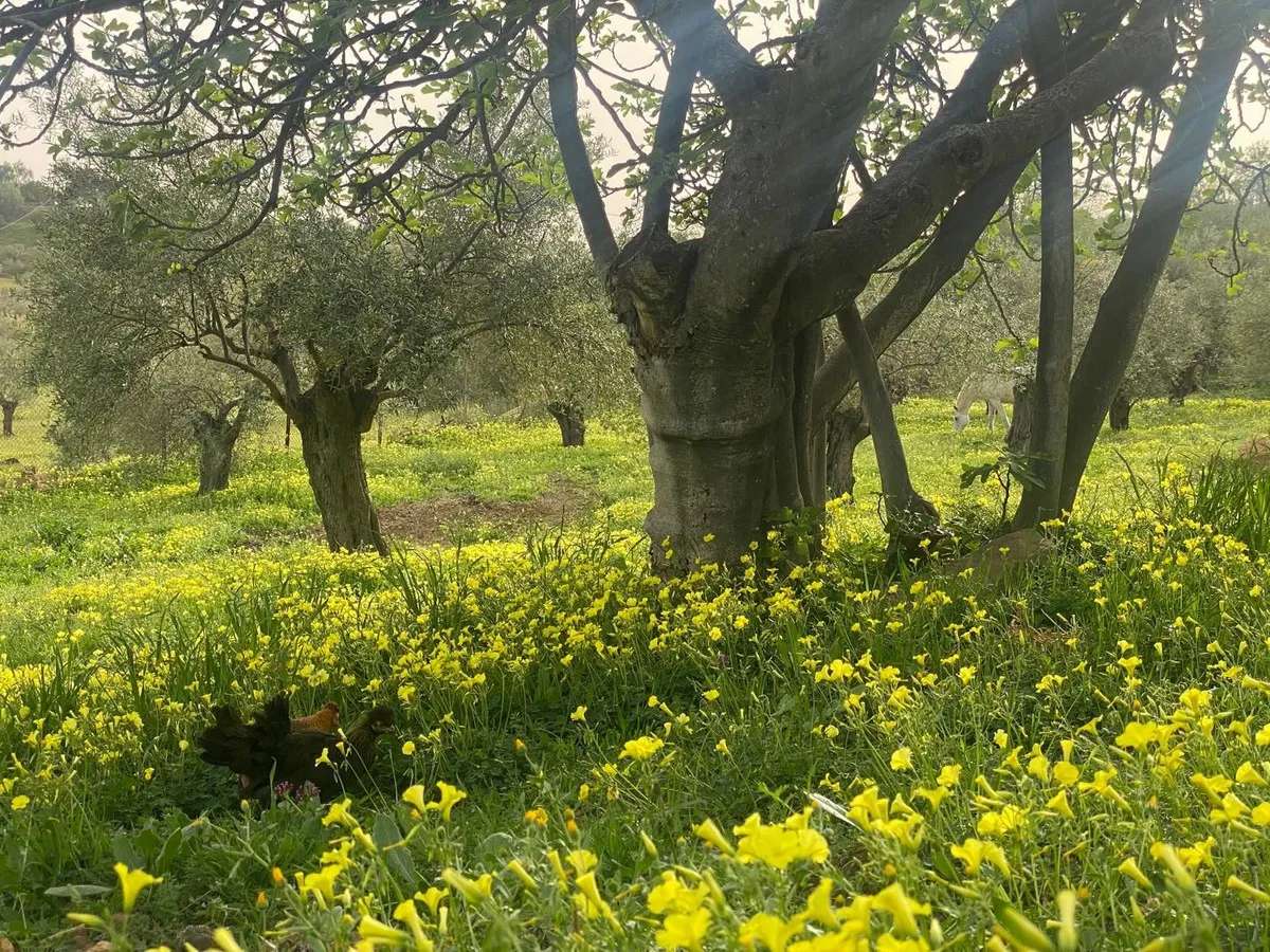 53589091-ab14-46dc-bdae-1fd913ceb6dc