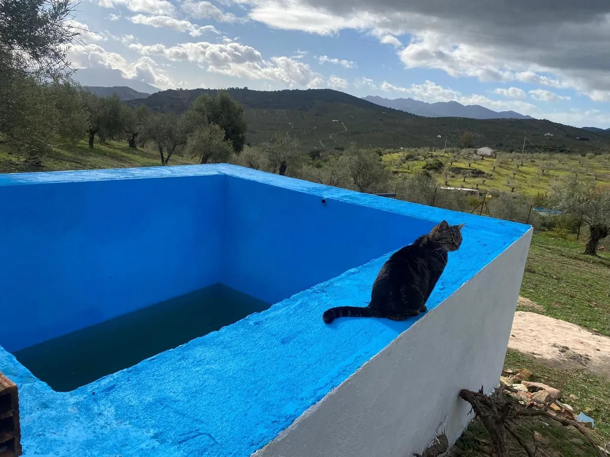 623f0791-3685-4862-8d10-1b10475d15f3