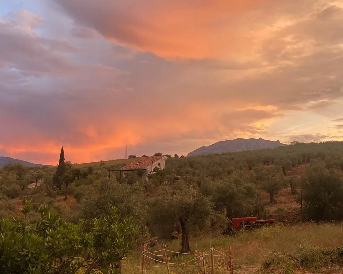 645aa40f-823b-4411-acc1-fc4721431df1