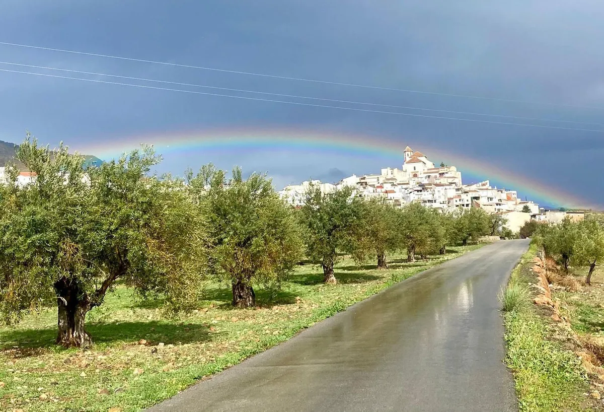 7262c2c8-6314-4982-8b86-cd83488ed41a