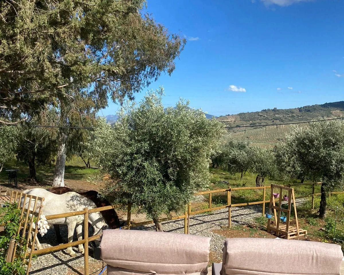 76686026-9d48-49e4-acc0-2d004651d845