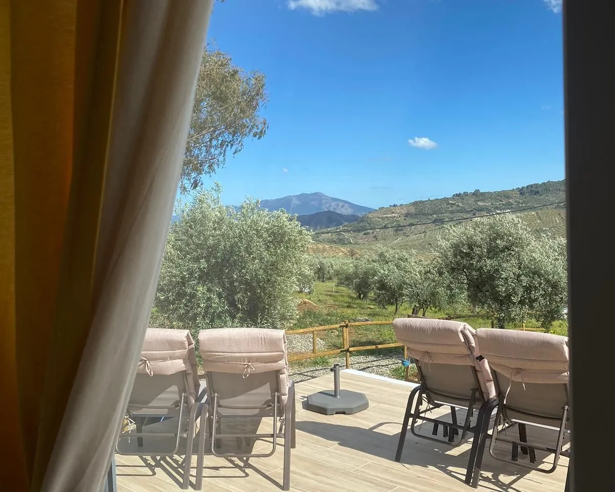 7d7f629e-980f-458f-a5ab-62f535caf7be