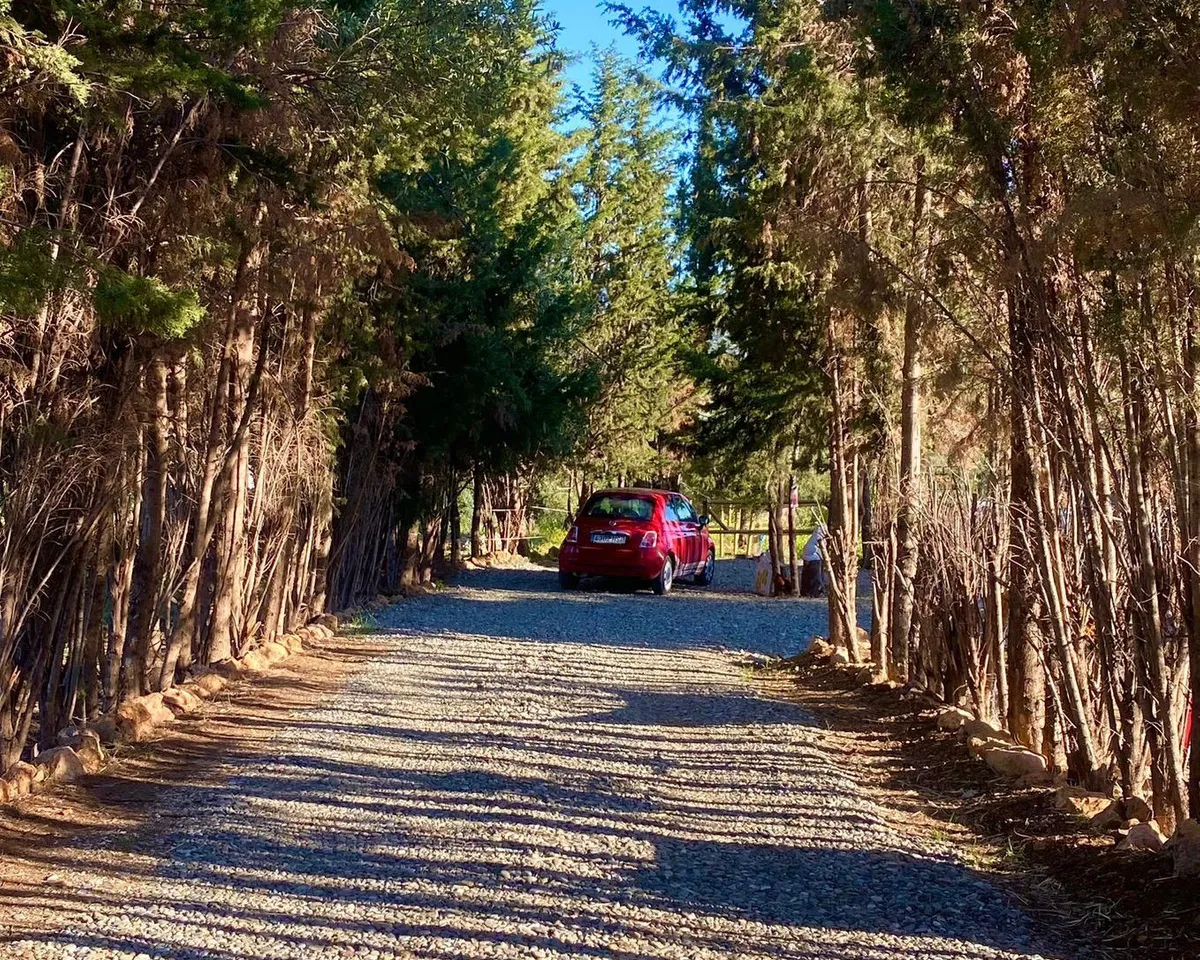 a05516eb-49fb-4049-83f9-ebb18ba86e6e