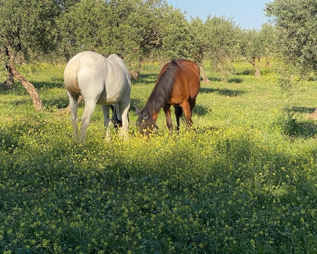 a5997cc6-c973-4d98-8ec2-50997eb37ba2