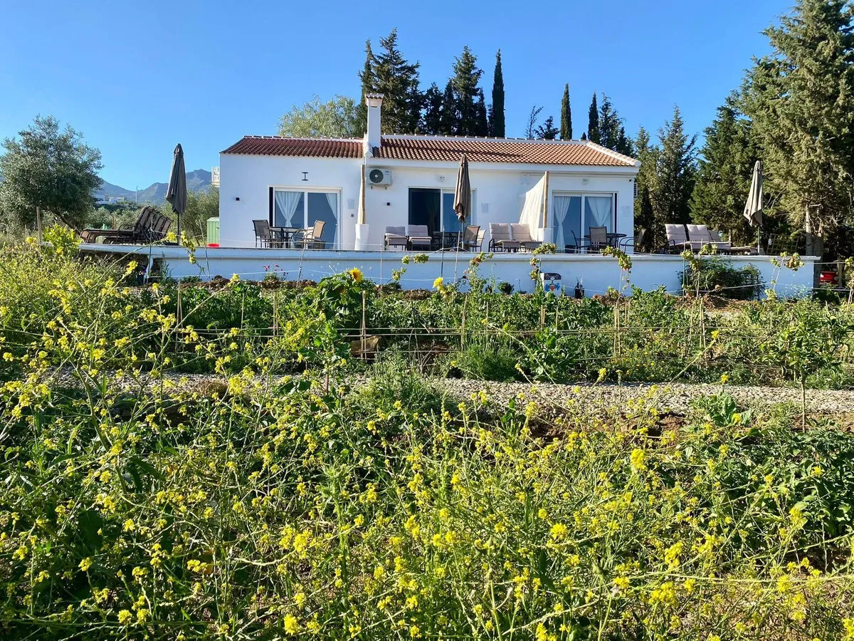 e6080b2d-f58c-4e73-a5e6-ed22f3c585dd