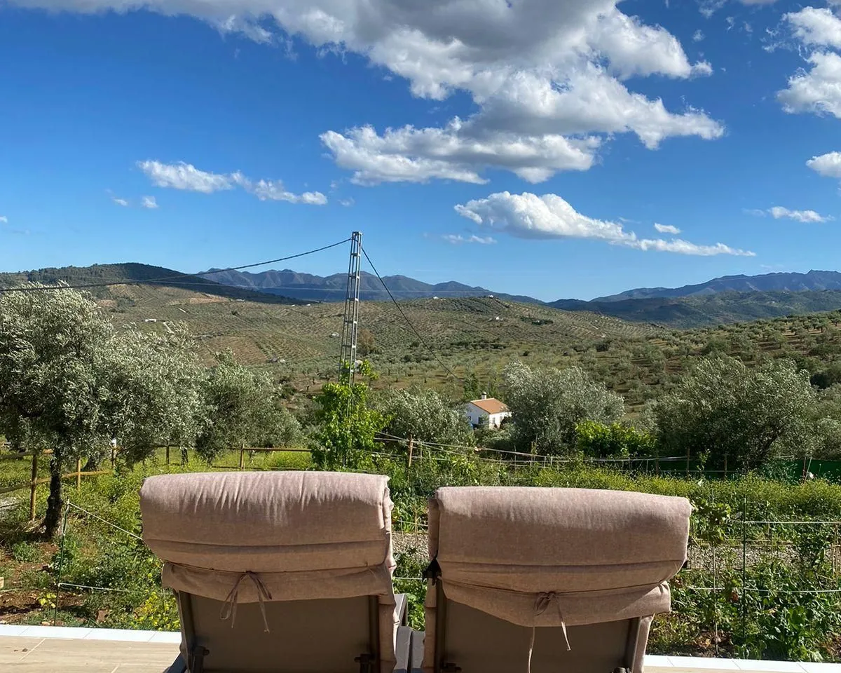 e8bf8224-ac77-4e60-a1f3-764d4376cad7