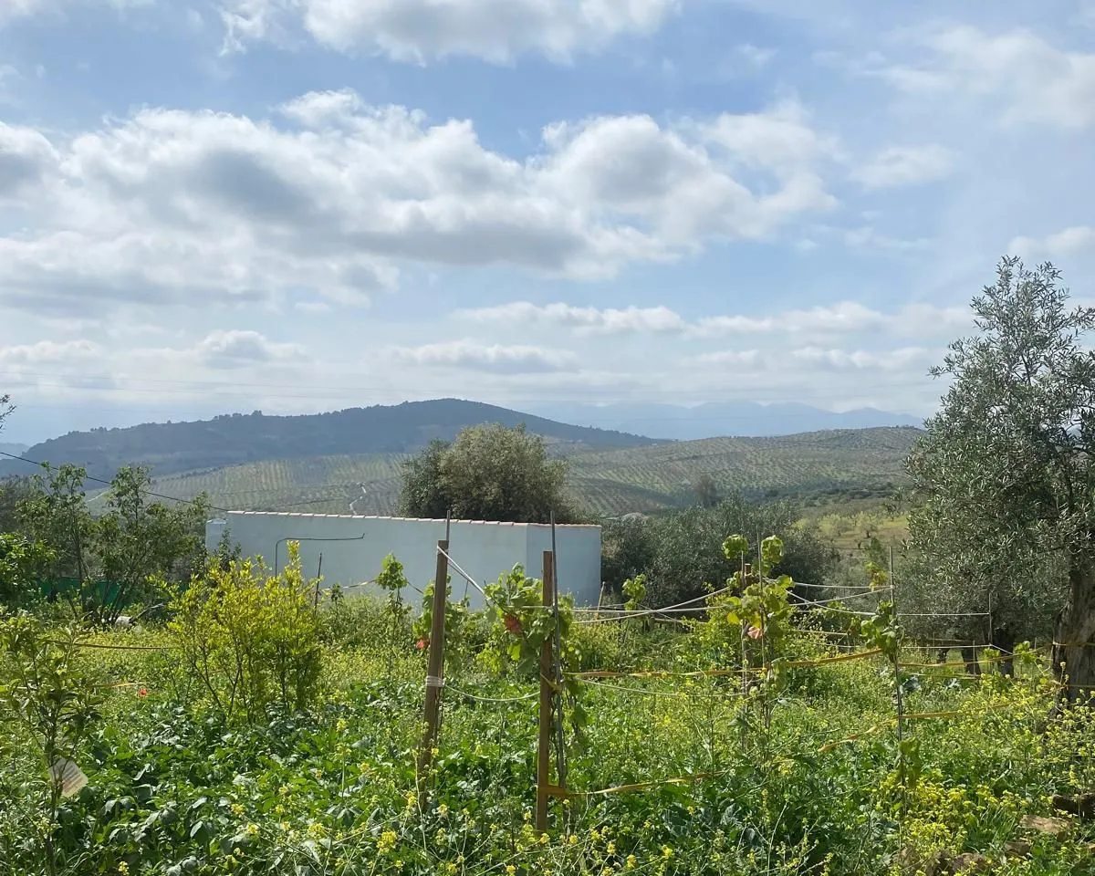 ed256627-b528-412c-9390-a89dd28b615e