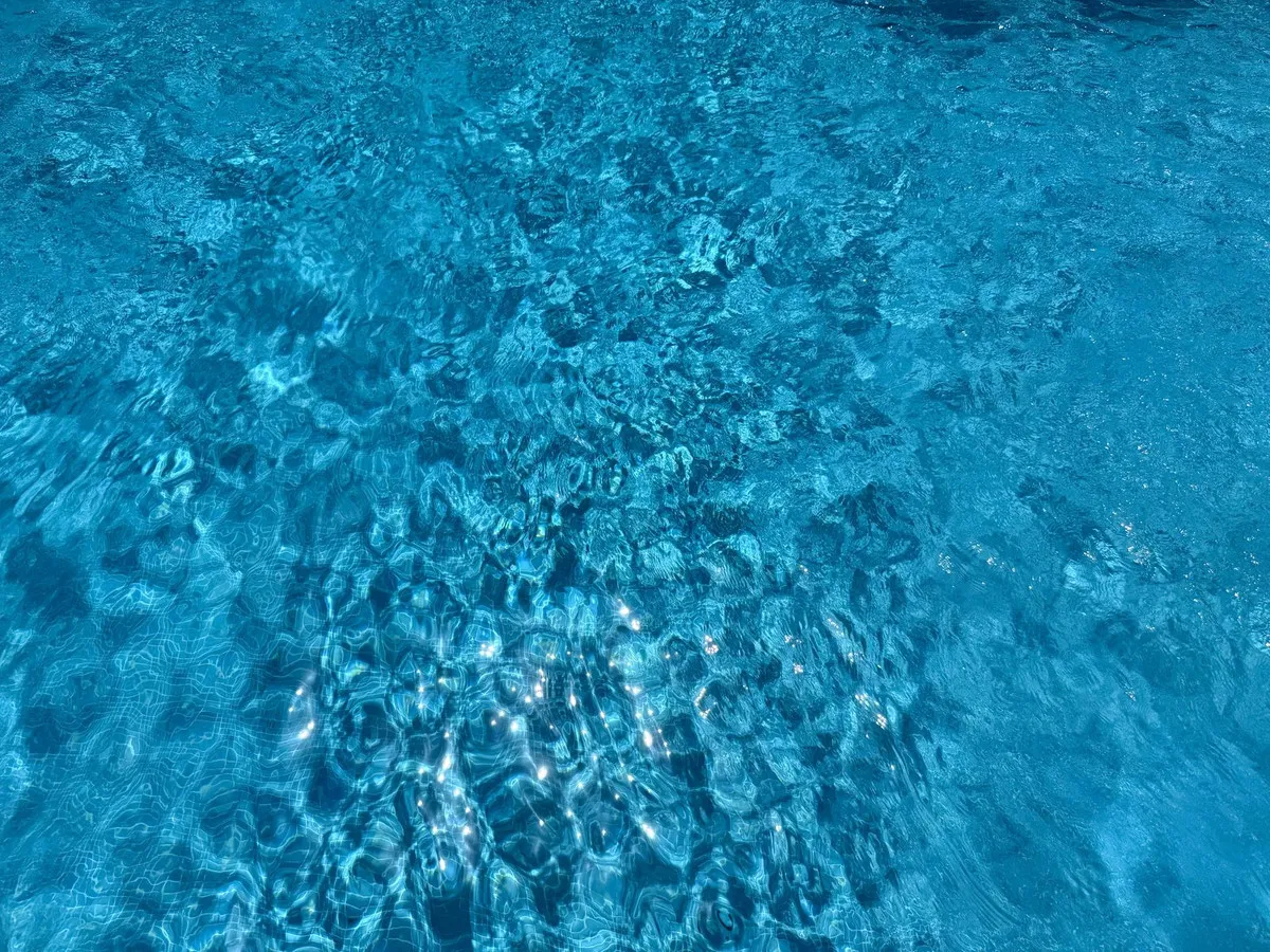 73201a4a-f9a8-4e4c-8b0d-47a2a587f5b5