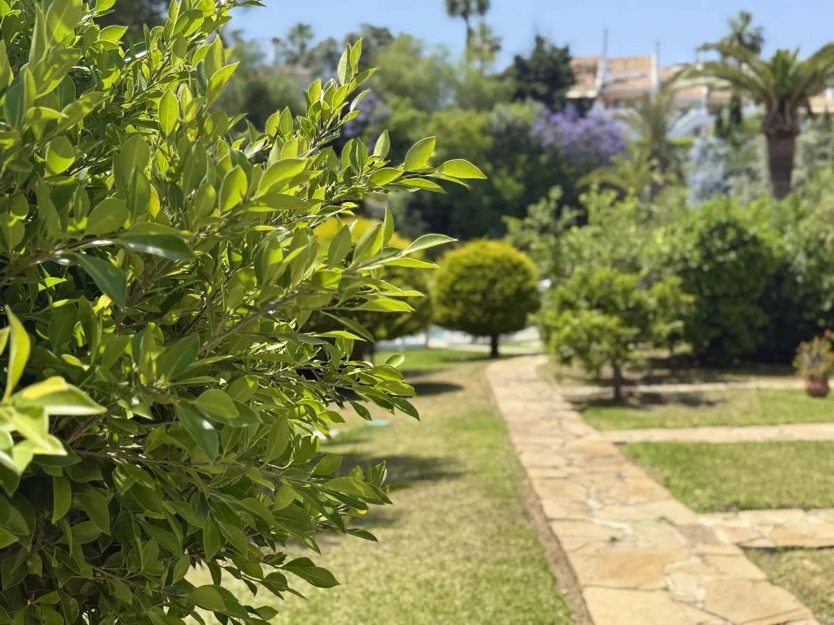 c0d41063-c040-445b-87d6-835e97ab0c1a