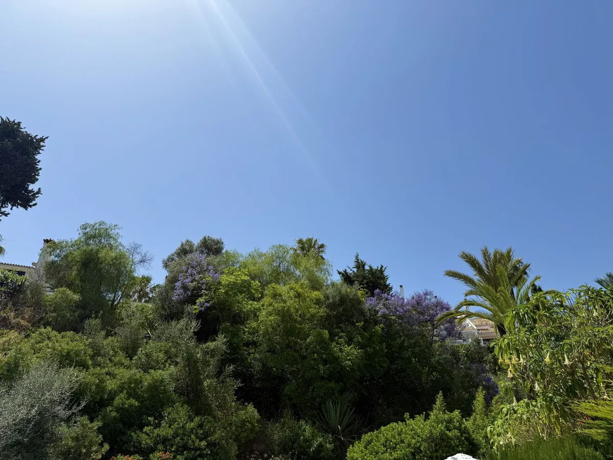 d62efad5-d533-4cce-81c4-959f3080f847