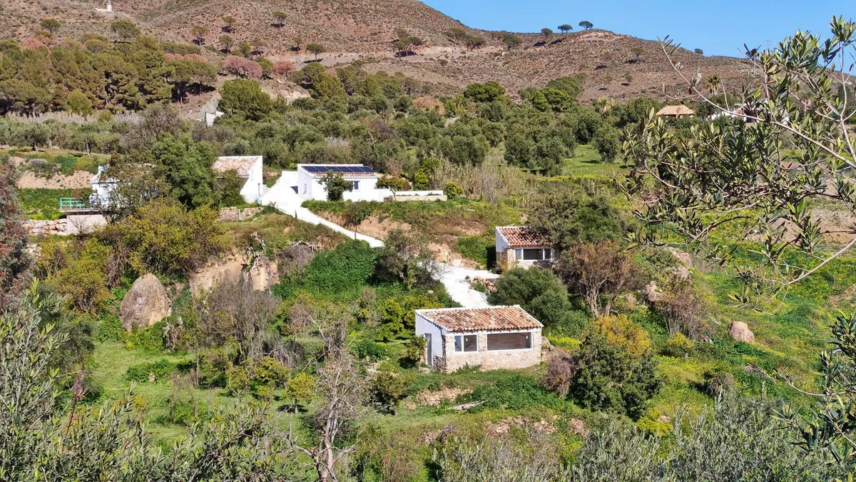 340d0575-071f-4631-b0d7-d0618ba6628e