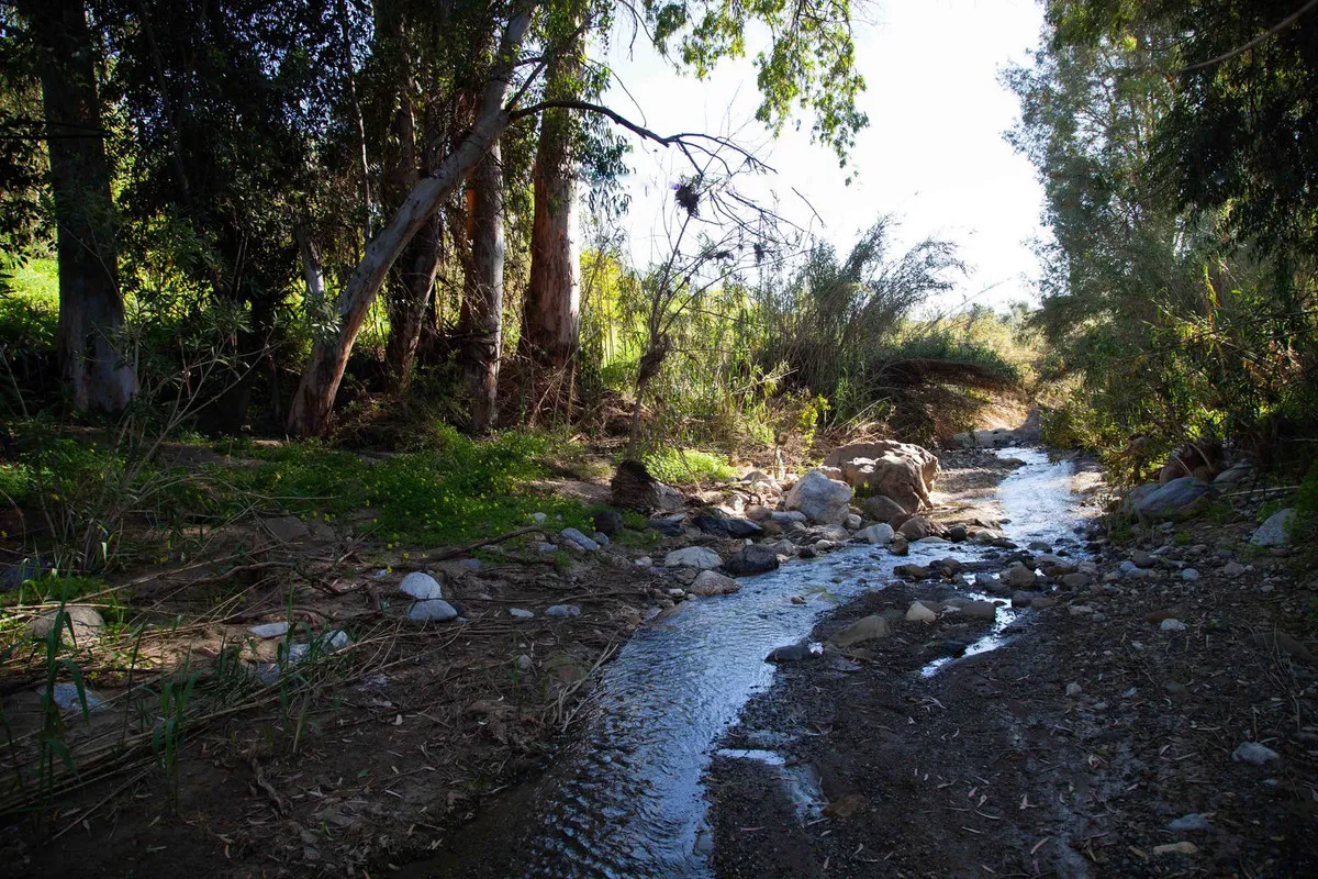 68656362-bfd2-4142-a97e-16f5d01345ce