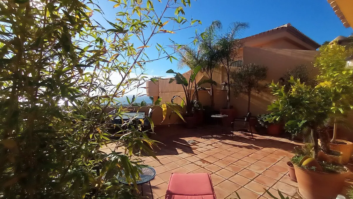 d101dc2b-6561-41fd-8168-34f3e142b117